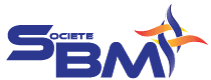 Logo STE BM