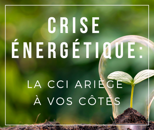 crise énergétique 