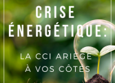 crise énergétique 